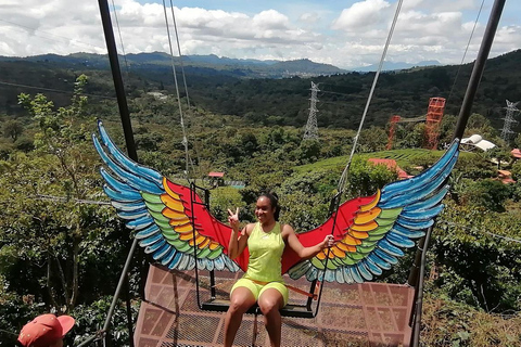 Ruta de Flores: Bike Zipline, Cafe Albania Rainbow Slide