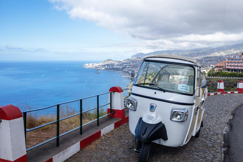 Funchal City Tour (1h30)