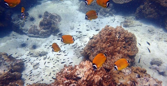 Koh Samui: Angthong National Marine Park Boat Tour Kayaking
