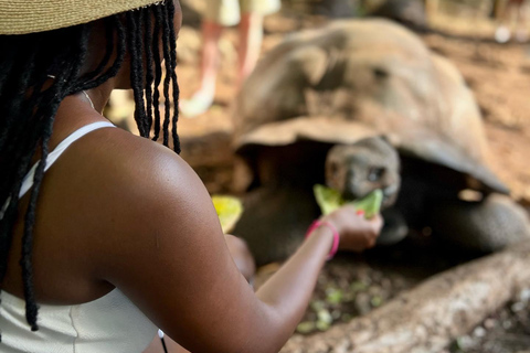 Ciudad de piedra y prisión Isla