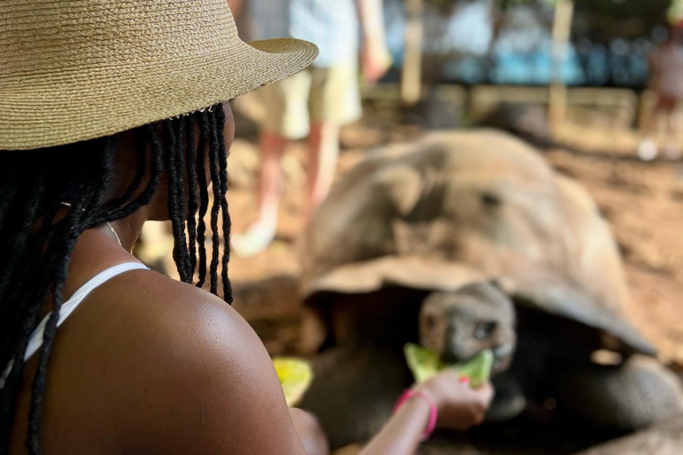 Ciudad de piedra y prisión Isla