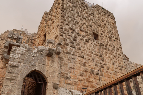 Aqaba: Jerash, Castillo de Ajloun - Visita de un día al Teleférico de Ajloun