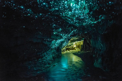 De Auckland: Viagem de 1 dia para Te Puia e cavernas de Waitomo