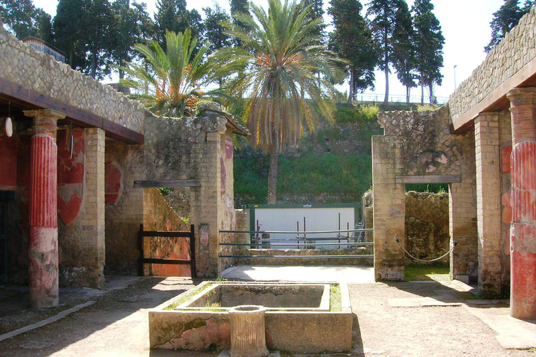 Sorrento: Herculaneum dagsutflykt med inträde och lunch