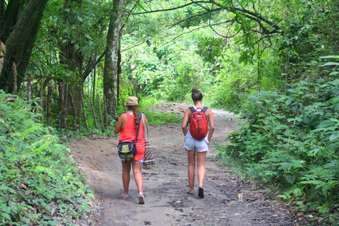 Santa Marta: Full Tour to Tayrona Park with a Swim in Cabo San Juan