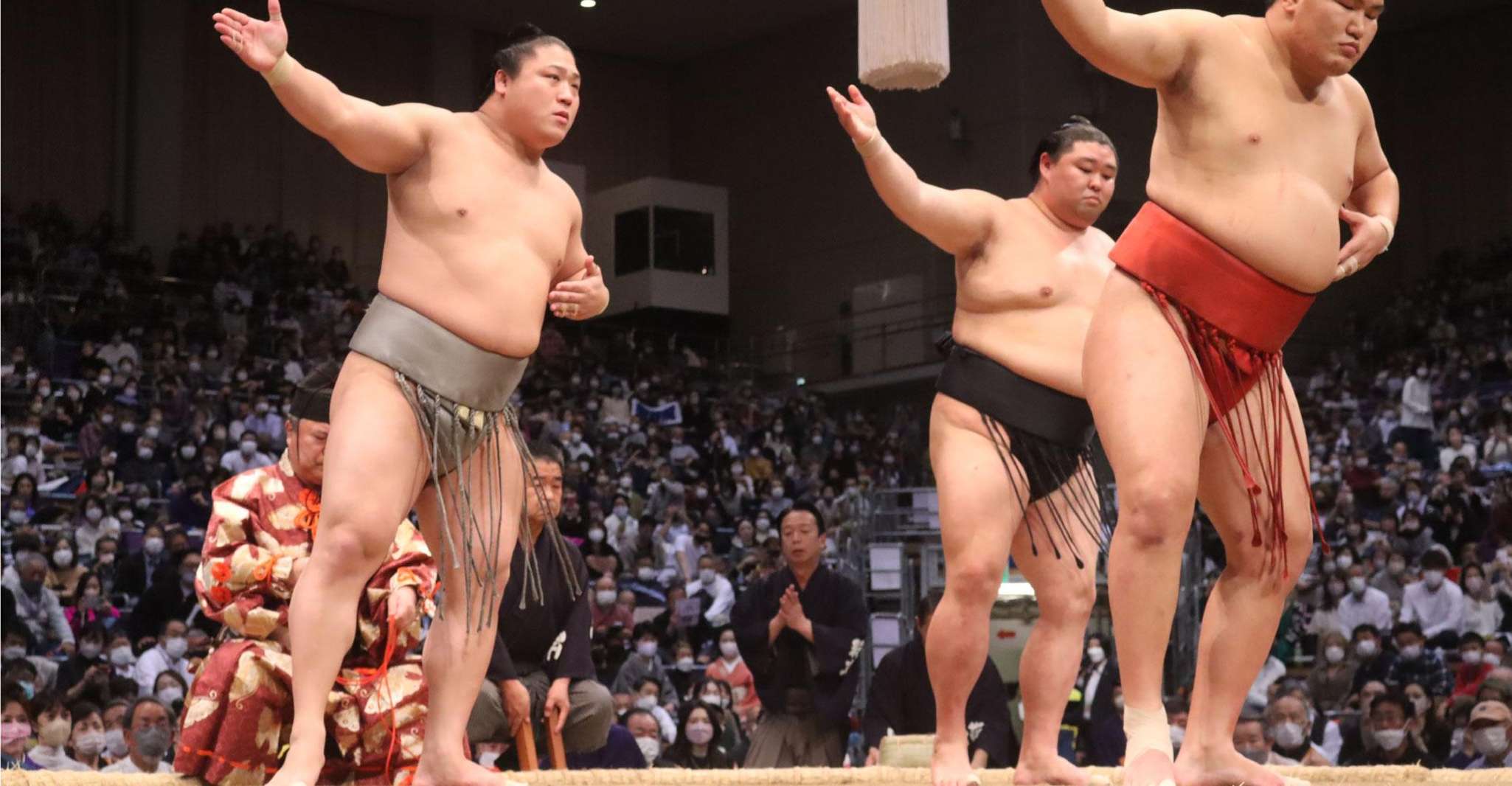 Tokyo: Grand Sumo Tournament Viewing Tour (May, 2026) photo 5