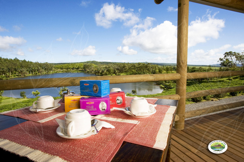 Mauritius: Tea, Rum, and Vanilla Route with Lunch Mauritius: Tea, Rum, and Vanilla Route with Lunch by Minibus