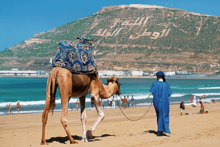 Privétransfer tussen Marrakech en AgadirEnkele reis van Marrakech naar Agadir