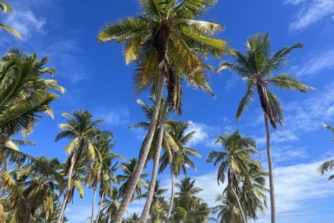 Est de la République dominicaine : excursion d'une journée sur l'île de SaonaPrise en charge à La Romana