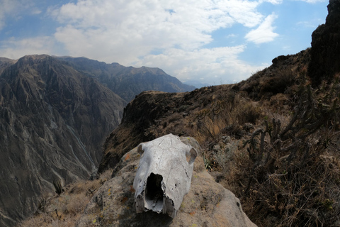 Private 3 day Colca Canyon trekking tour (min 2 people)