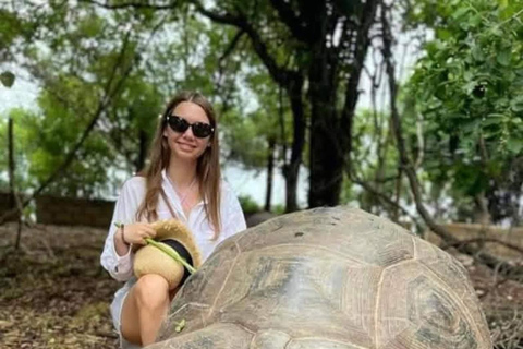 桑给巴尔：监狱岛私人观光（含观赏乌龟）桑给巴尔：监狱岛私人观光