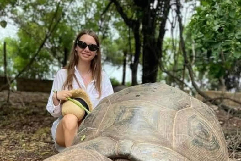 桑给巴尔：监狱岛私人观光（含观赏乌龟）桑给巴尔：监狱岛私人观光