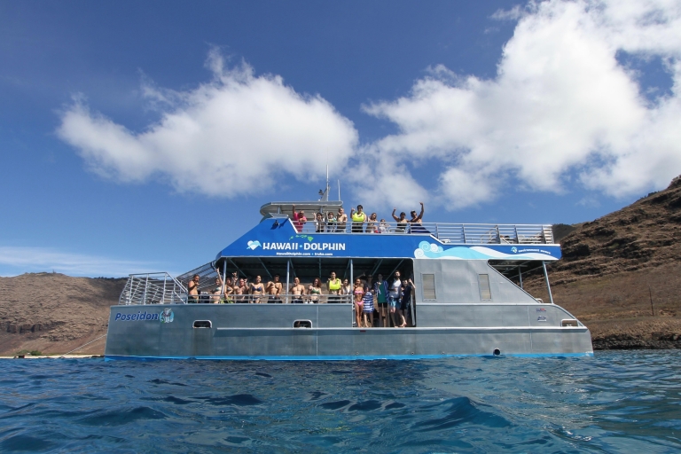 Oahu: Nado con delfines, snorkel con tortugas, actividad en tobogán acuáticoDesde Honolulu: viaje de nado con delfines y esnórquel en Oahu