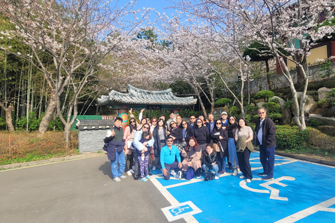 Busan Highlights Day Tour from Seoul by KTX - Capsule Ride