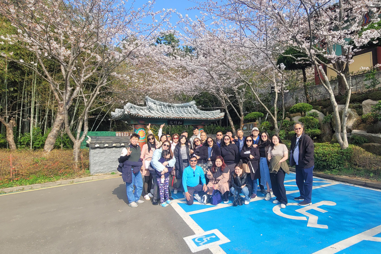 Busan Highlights Day Tour from Seoul by KTX - Capsule Ride