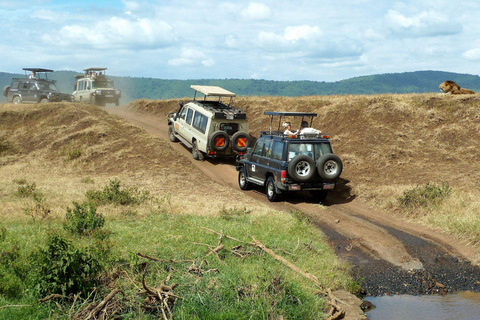 6-dniowe safari w Tarangire, Serengeti i kraterze Ngorongoro