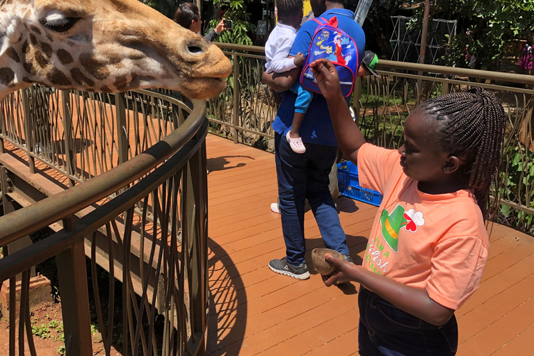 Nairobi Park, olifantenopvangcentrum en giraffencentrum tourZonder toegangsbewijs