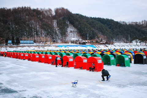 Uit Seoel: Pyeongchang ForelfestivalGroepstour, verzamelen bij Hongik University Station