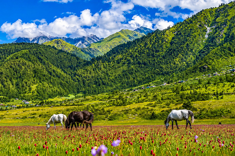 From Kathmandu: 5-Day Dhorpatan Wildlife & Nature Tour From Kathmandu: 5-Day Dhorpatan by Private Vehicle