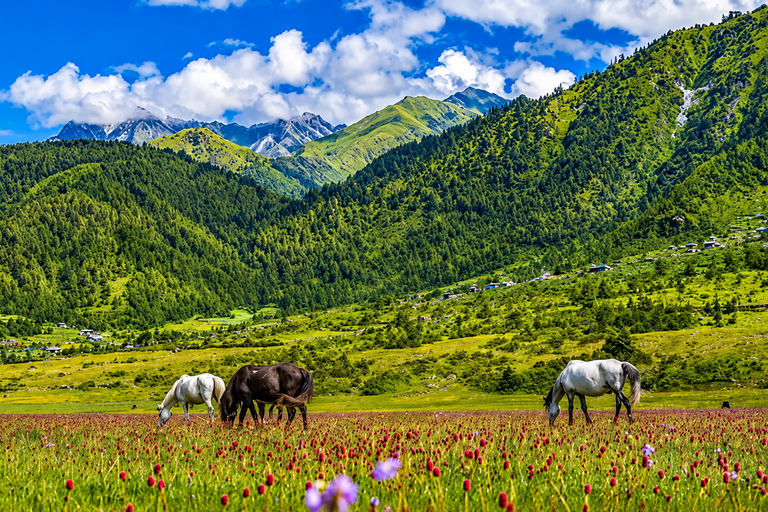 From Kathmandu: 5-Day Dhorpatan Wildlife & Nature Tour From Kathmandu: 5-Day Dhorpatan by Public Vehicle