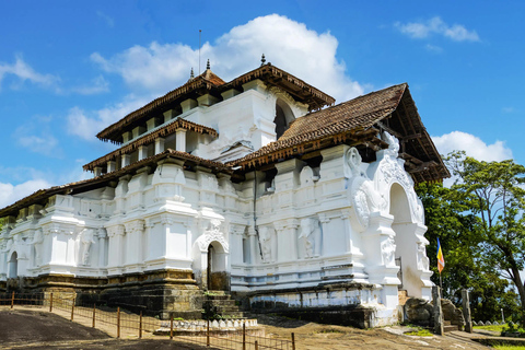 Z Kolombo: Kandy i Pinnawala - wycieczka 1-dniowa