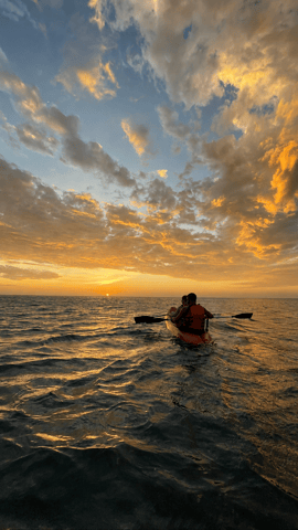 Muscat: Al Qurum Beach Sunset Kayaking Experience