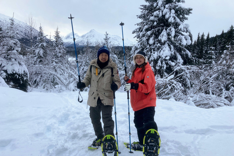 Guided Snowshoeing Adventure from Seward, Alaska 6-Hour Tour