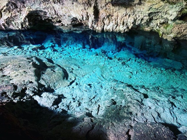 Visit Kuza Cave, Starfish, Blue Lagoon, The Rock, Jozani Forest in Paje