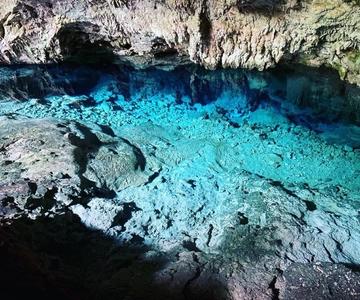 Kuza Cave, Starfish, Blue Lagoon, The Rock, Jozani Forest