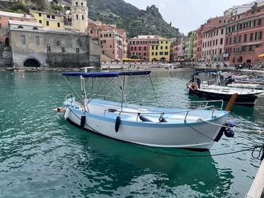 La Spezia: Cinque Terre Tour & Aperitif am Morgen oder bei ...