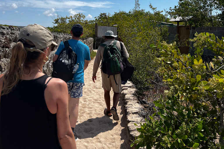 Santa Cruz: Snorkeling Sightseeing Tour at Las Grietas and Playa de los Alemanes