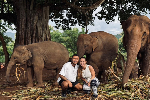 Chiang Mai: Elephant Sanctuary & Thai Cooking Workshop Meeting Point In Town