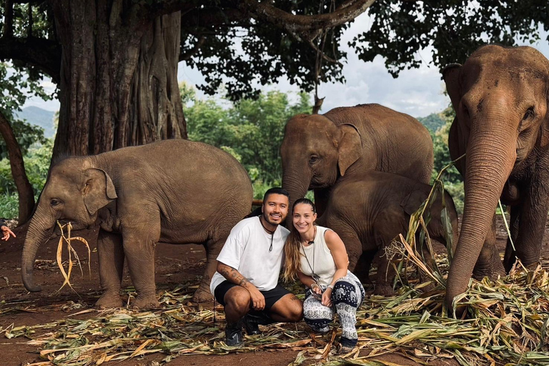 Chiang Mai: Elephant Sanctuary & Thai Cooking Workshop Meeting Point In Town