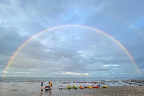 Auckland: Bioluminescence Kayak Tour with Guide