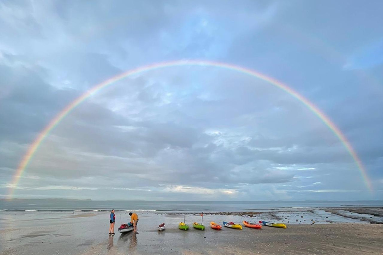 Auckland: Bioluminescence Kayak Tour with Guide