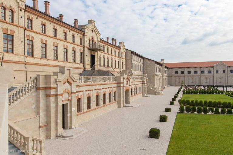 De Chisinau : visite d'un vignoble avec dégustation de vin à Castel MIMI