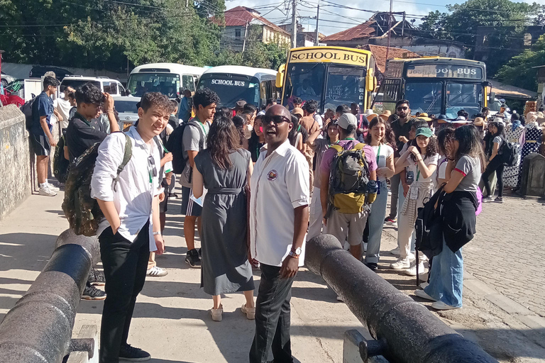 Mombasa: Old Town and Haller Park Guided Day Tour Afternoon Tours