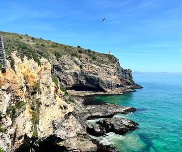 Excursion d'une journée à Dunedin et dans la péninsule d'Otago