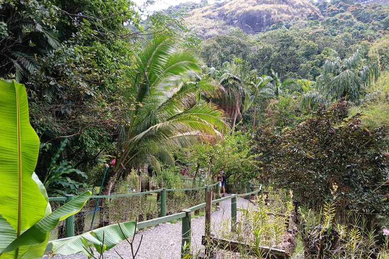 FIJI: Garden of the Sleeping Giant Tour InterContinental/Yatule/Yadua Bay/Shangri-La Pickup