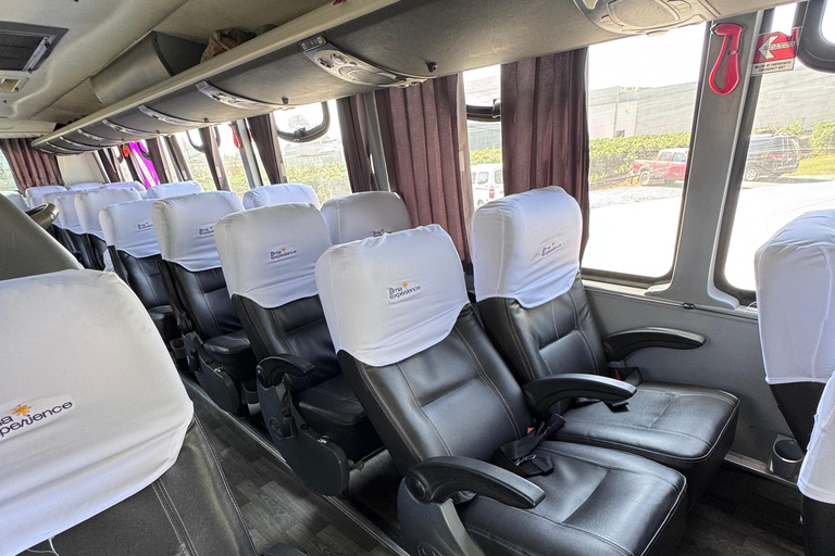 Paracas e Huacachina: Ilhas, Dune Buggy e Piquenique ao Pôr do SolParacas e Huacachina: Ilhas, Buggy nas Dunas e Piquenique ao Pôr do Sol