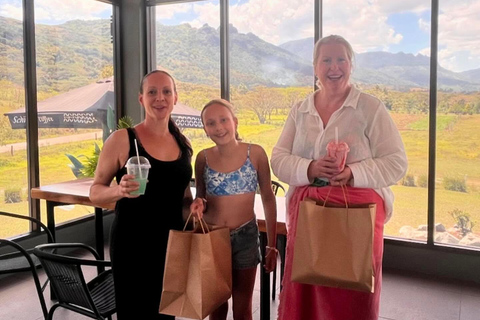 Nadi VIP Tour: Culture, Mud Baths, Massage & Lunch Wailoaloa Beachfront & Fantasy Island