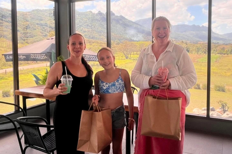 Nadi VIP Tour: Culture, Mud Baths, Massage & Lunch Nadi Airport Transit Zone & Votualevu