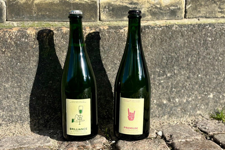 Copenaghen: Esperienza di degustazione di kombucha prodotta localmenteDegustazione di kombucha