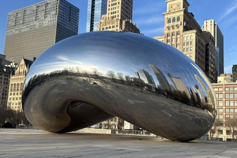 Tour privato a piedi dei punti salienti di Chicago con una guida