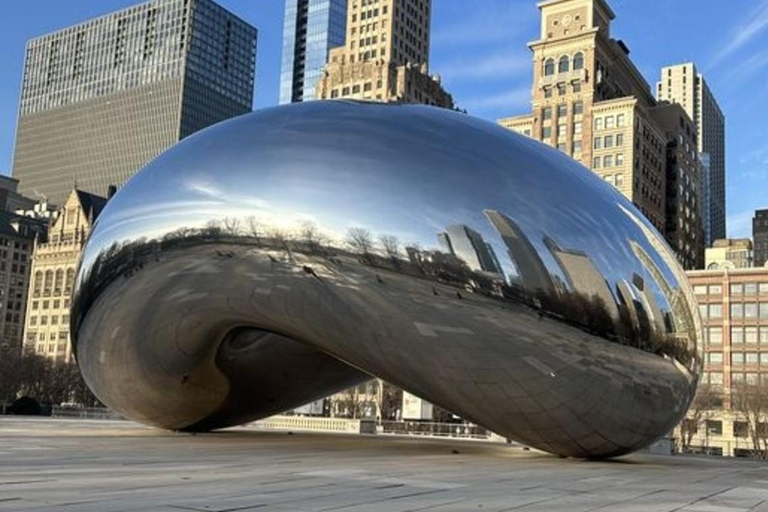 Tour privato a piedi dei punti salienti di Chicago con una guida