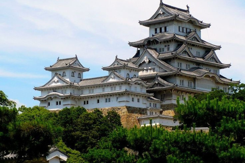 Tokyo Full Day Private Sightseeing Tour with English Driver