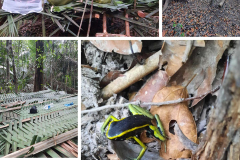 Manaus: Tour de 3 o 5 días por la Amazonia en Tucanos Lodge