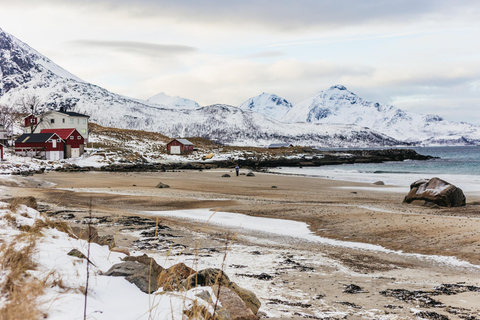 Tromsø: Paisagem ártica e passeio pelos fiordes com lanches