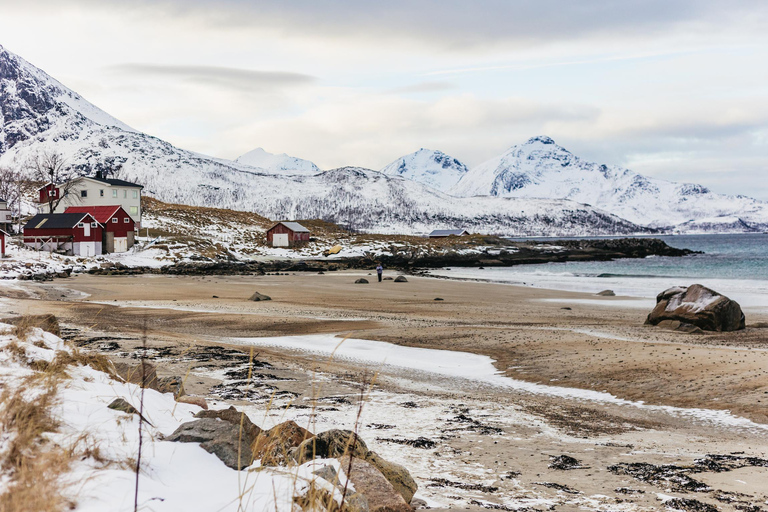 Tromsø: Arctisch landschap en fjordentocht met snacks