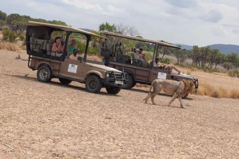 From Zanzibar: Mikumi Safari Day Trip with Flights and Lunch Mikumi Shared Safari without hotel transfer